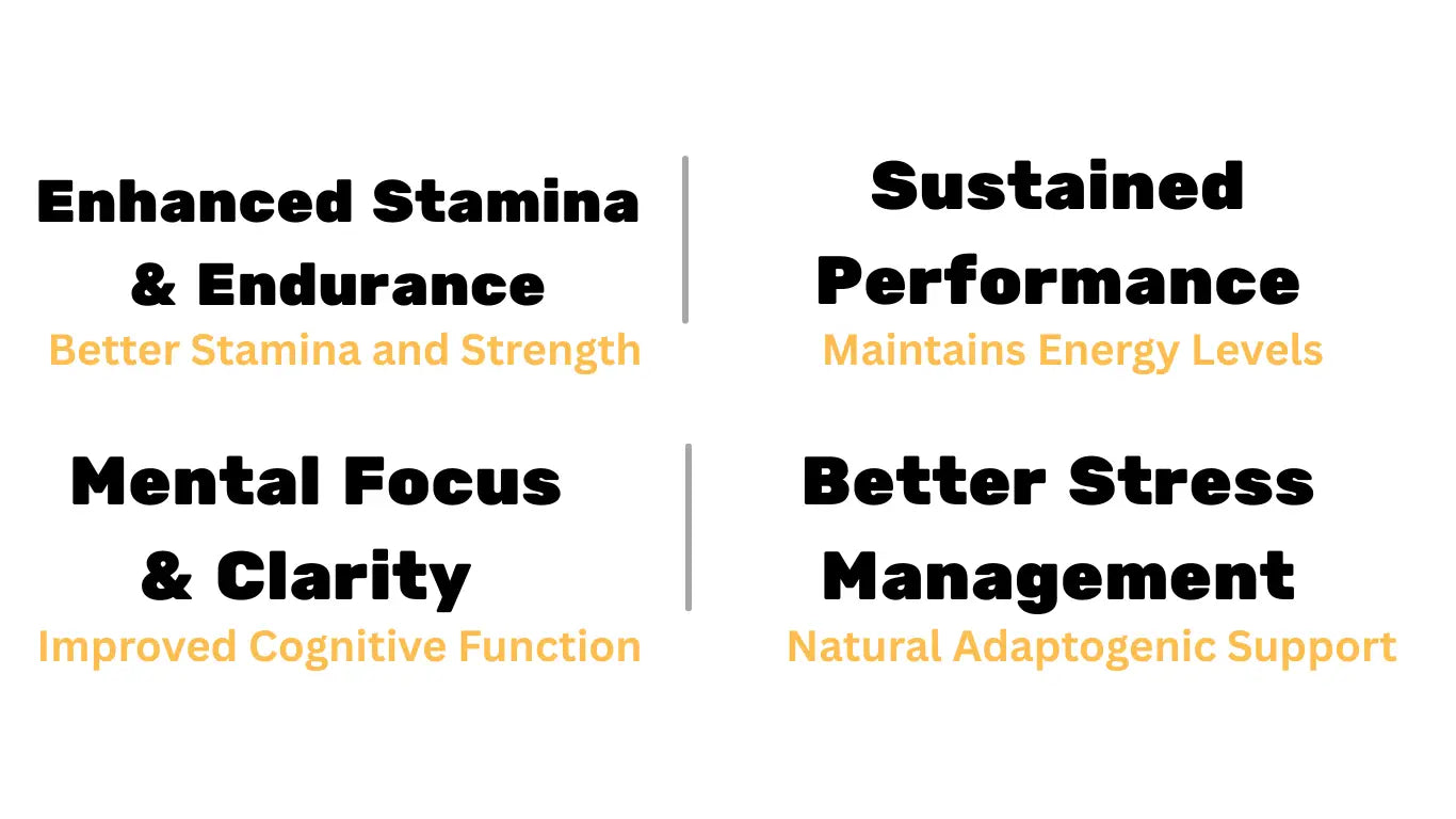 Men's nutritional supplements | Health and wellness supplements | royal combo bundle benefits